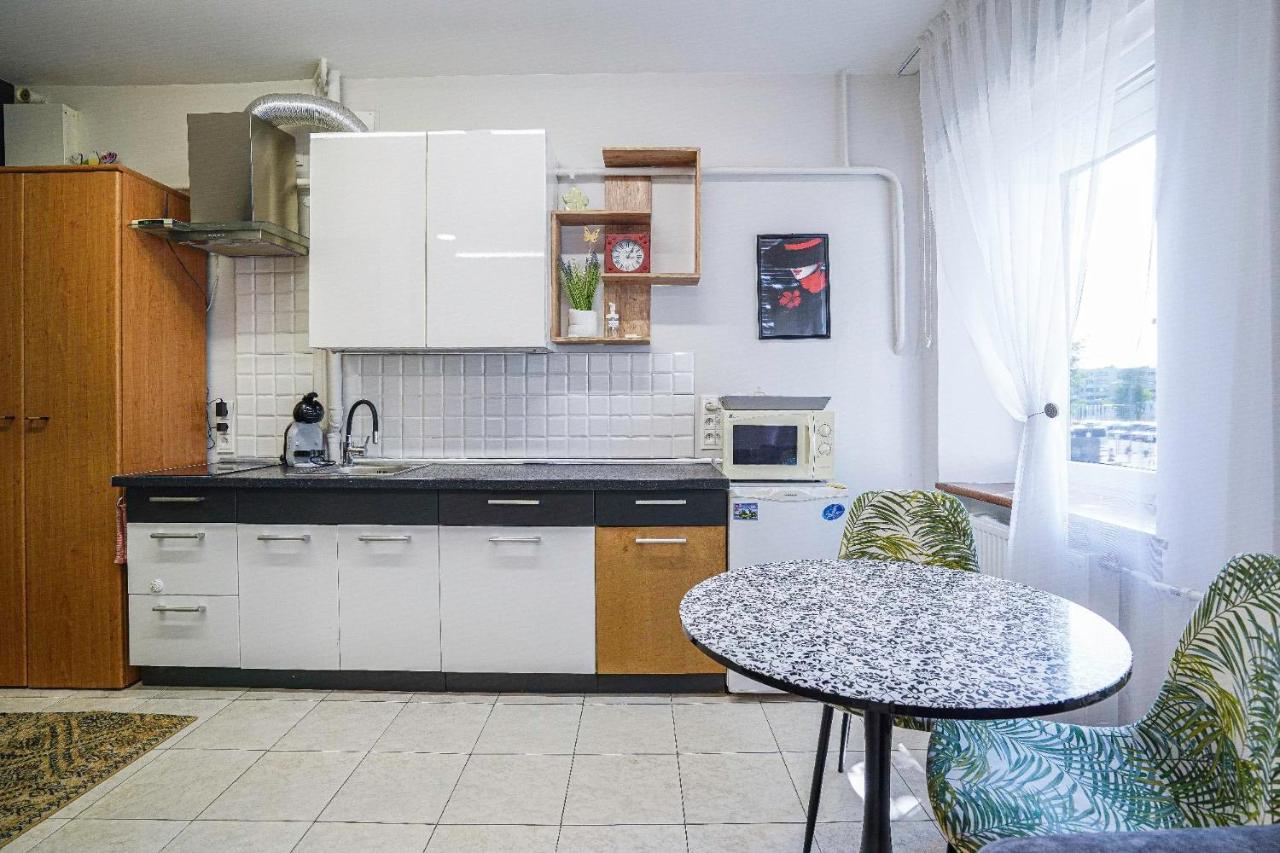 PanevėžysJaukus Ir Kokybiskas Butas Panevezio Centreアパートメント エクステリア 写真